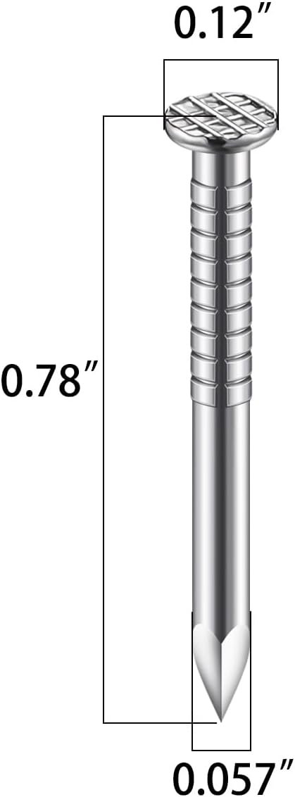 (700 pcs)3/4 inch Stainless Steel 304 Nails, Hanging Nails, Wall Nails, Dowels, Long Nails