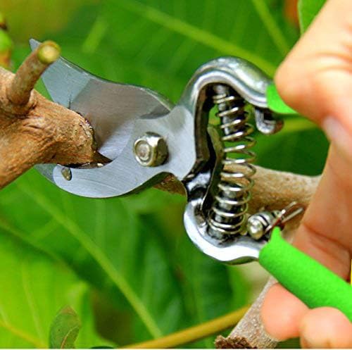 GARDEN GURU Classic Bypass Pruning Shears Clippers – Heavy Duty Forged Steel Garden Pruners – Safety Lock – Non Slip Comfort Grips – Cuts up to 1” – Professional Bypass Pruners for Gardening (2 Pack)
