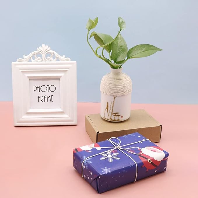 Vivifying Butchers Twine, 2pcs x 656 Feet Food Safe Cotton Bakers Twine String for Tying Meat, Making Sausage, Trussing Turkey, Roasting, Cooking and Packing(Beige)