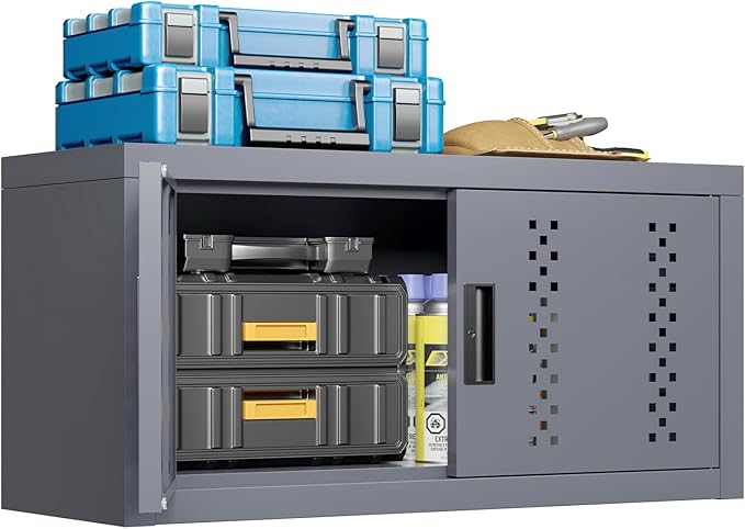 Metal Garage Storage Cabinet Industrial Style Wall Garage Cabinets with 2 Doors Tool Cabinets Wall Mounted Steel Hanging Cabinet for Warehouse Basement Kitchen Laundry - Assembly Required