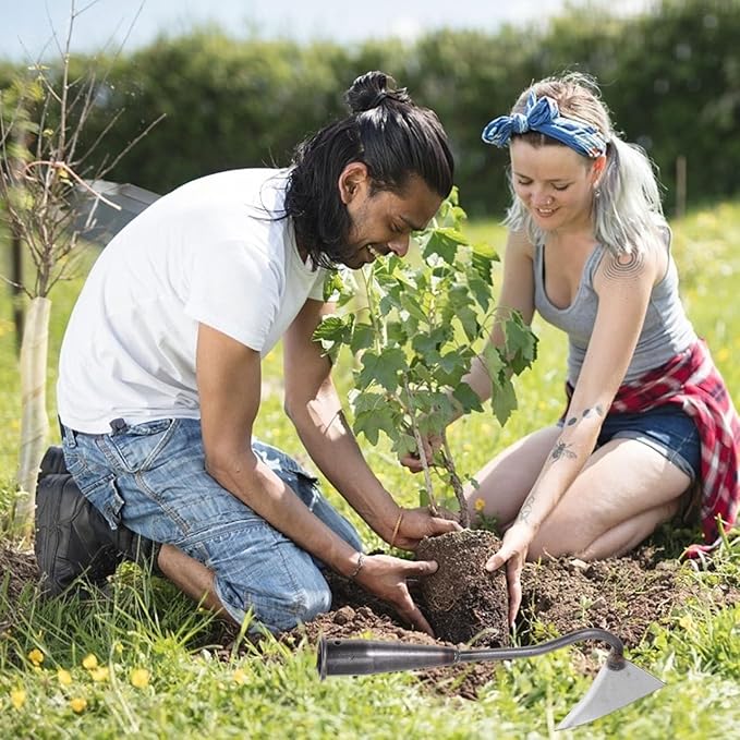 DOITOOL Hoe Garden Tool,Triangle Hoe Head Iron Gardening Hoe for Digging,Weeding,Cutting and Loosing Soil, Garden Hoe Replacement Head