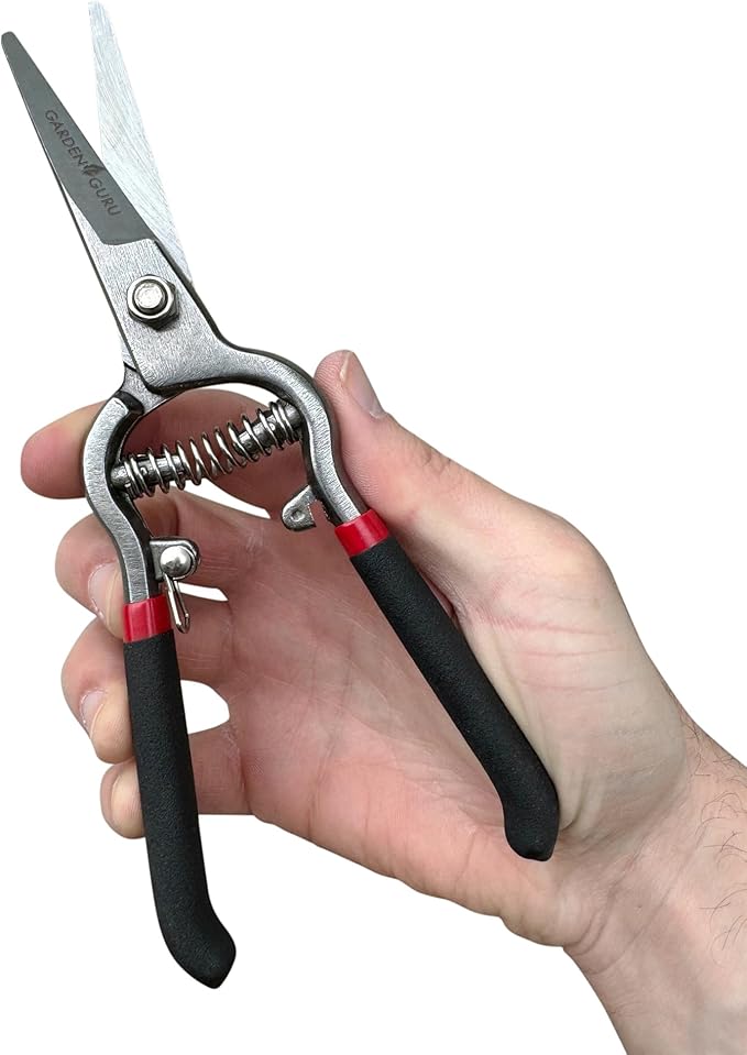 GARDEN GURU Classic Bypass Pruning Shears Clippers – Heavy Duty Forged Steel Garden Pruners – Safety Lock – Non Slip Comfort Grips – Cuts up to 1” Diameter – Professional Bypass Pruners (2 Pack)