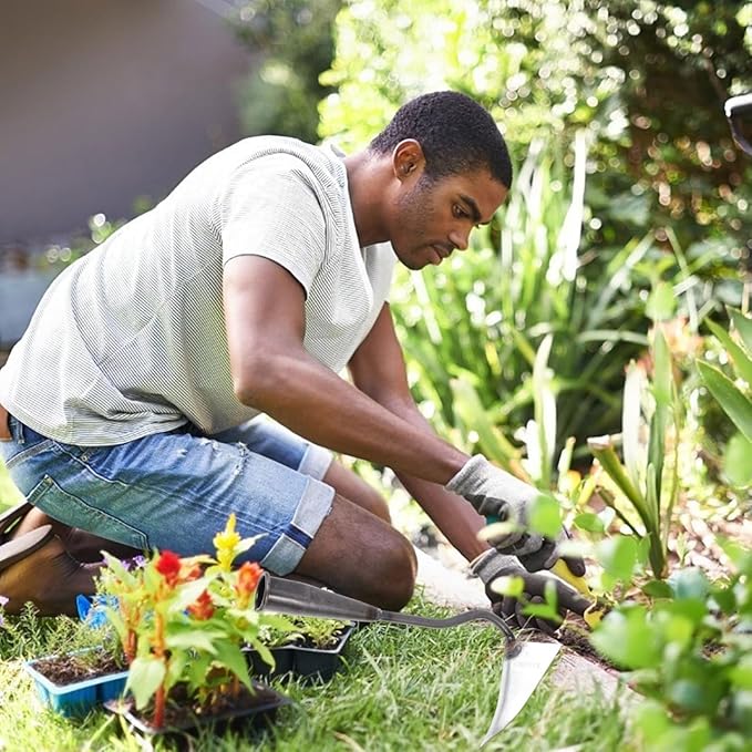 DOITOOL Hoe Garden Tool,Triangle Hoe Head Iron Gardening Hoe for Digging,Weeding,Cutting and Loosing Soil, Garden Hoe Replacement Head