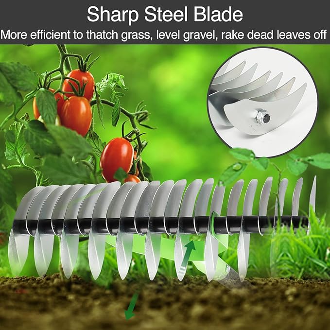 Thatch Rake for Lawns, Dead Grass Dethatcher Rake Removal Tool Heavy Duty Long Handle 54 inch, 13 inch Wide 11 Tines Manual Lawn Thatcher for Loosening Soil in Yard Garden