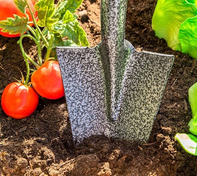 Spear Head Spade SHMini 30" Mini Shovel - Small Shovel with a 6" x 8" Beveled Blade, Steel-Reinforced Fiberglass Short Handle & a Cushioned D-Grip - Small Gardening Spade for Precision Digging