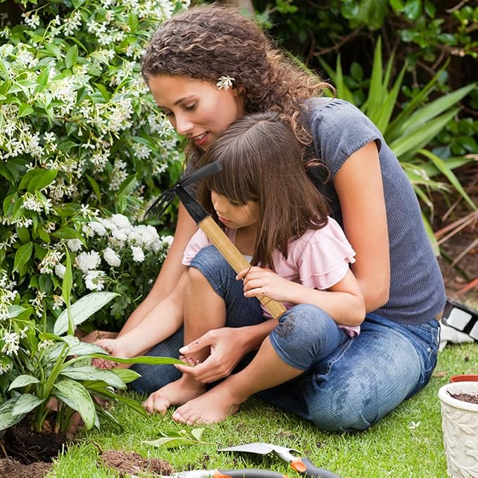 ARTIBETTER Hand Gardening Hoe and Rake Replacement - Carbon Steel Dual Head Tool for Weeding, Digging, and Soil Loosening - 8.07 X 4.25 X 2.95 Inches