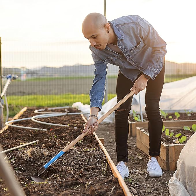 DOITOOL Hand Hoe Head Hoe Garden Tool Heavy Duty Agriculture Farming Head Round Eye Hoes Remove Grass Planting Digging Gardening Tool Weeding Hoe Head for Agriculture