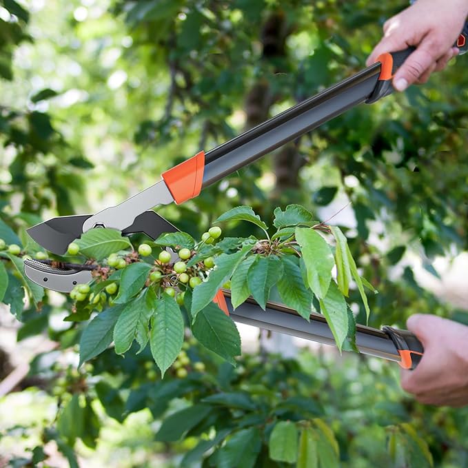 AIRAJ 27” Anvil Loppers for Tree Trimming Heavy Duty with Compound Action | Tree Branch Cutter with 2 Inch Cutting Capacity | Chops Thick Branches Ease | Garden Lopper Pruning Shears Heavy Duty