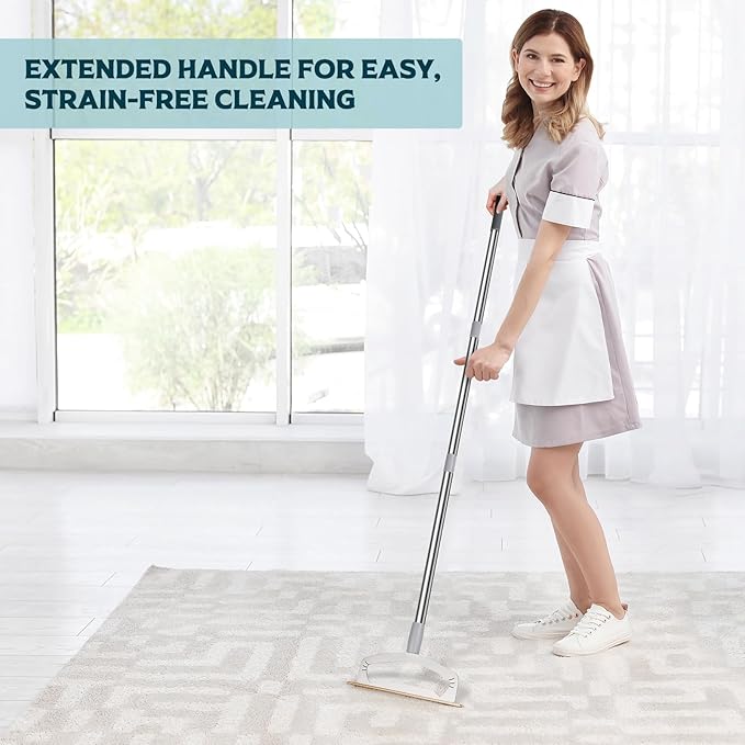 Dog Hair Remover Rake for Carpets - Premium Pet Hair Removal Tool, XL Carpet Rake & Cat Fur Scraper with Extra Long Handle for Rugs, Furniture, and Car Interiors