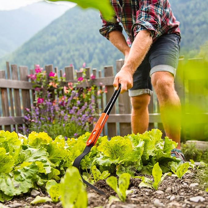 L Shaped Grass Hoe Multifunctional Garden Hoe Tool, Crevice Weeding Hoe with Adjustable Long Handle, Efficient Sharp Three Sided Blade for Weeding Cultivating and Lawn Care