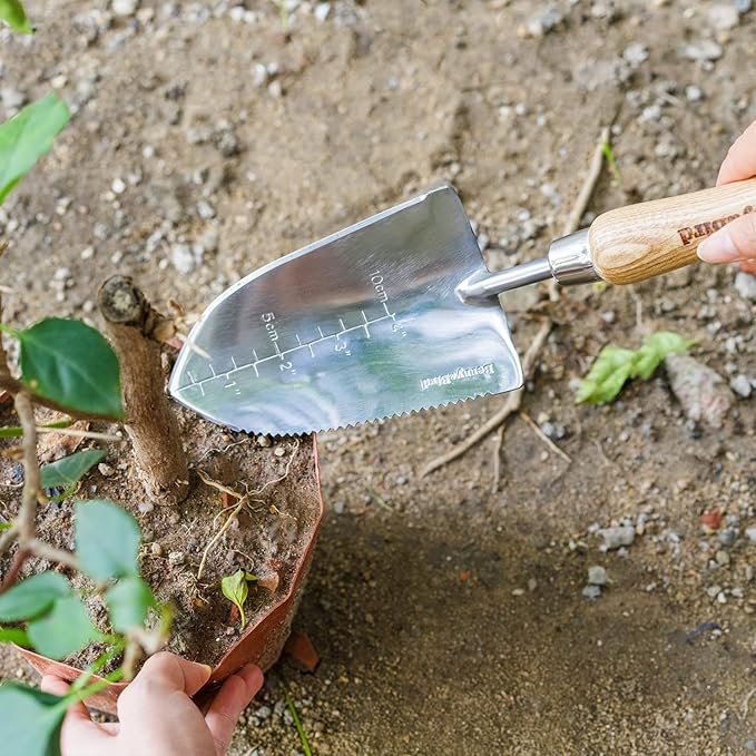 Berry&Bird Garden Serrated Planting Trowel, Multifunctional Shovel with ash Wood and Stainless Steel Digging Trowel Transplanter
