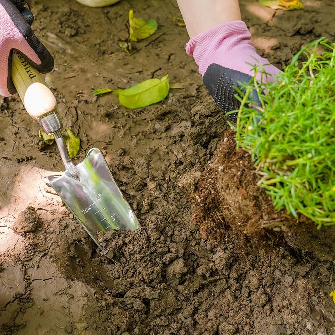 Berry&Bird Transplant Trowel with Measurements, Garden Stainless Steel Potting Hand Trowel with Wooden Handle, Small Garden Hand Shovel Transplanter Tool for Planting Digging Transplanting Gardening