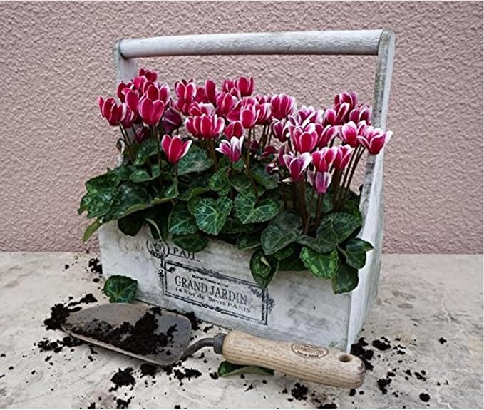 DeWit Forged Hand Trowel