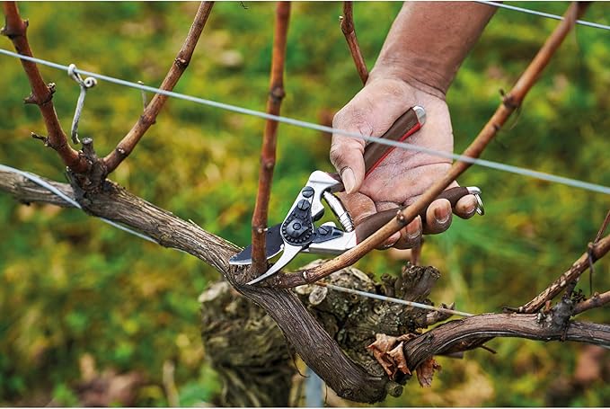 FELCO 6 ELITE Pruning Shears – 7.7" Swiss-Made Garden Clippers with Leather-Wrapped Handle for Medium Right Hands | Hand Pruners for Gardening | Garden Tool Cutter with Bypass Blade, Aluminum Body