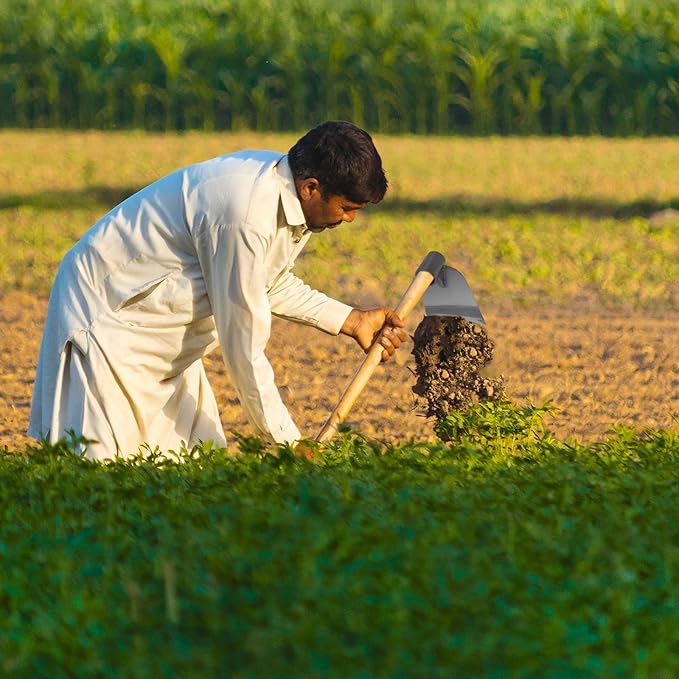 balacoo Hoe Farm Tool - Stainless Steel Gardening Hoe for Digging Weeding and Soil Loosening 6.1X5.11X2.16 Inches Ideal for Gardeners and Outdoor Enthusiasts