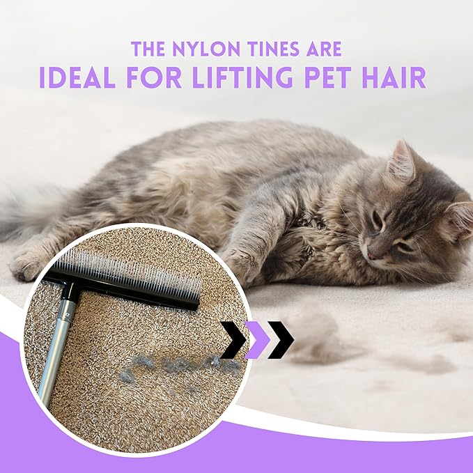 Room Groom PET Carpet Rake Groomer with Telescoping 54 " Adjustable Handle, with Lint Remover Brush Tool, Carpet Brush for Pet Hair and Refreshing Carpets, (Black/Purple)