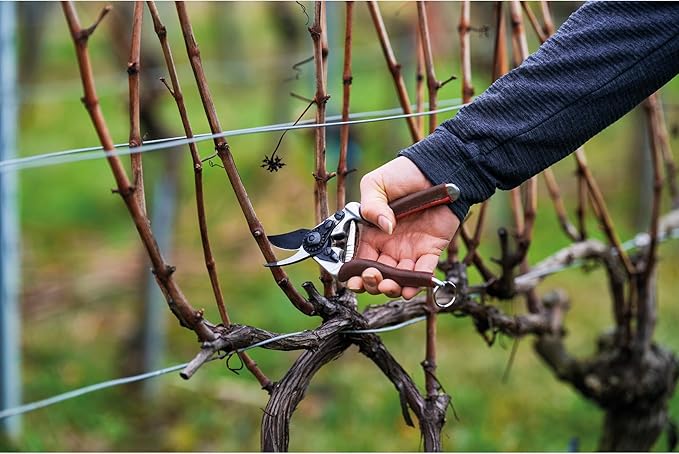 FELCO 6 ELITE Pruning Shears – 7.7" Swiss-Made Garden Clippers with Leather-Wrapped Handle for Medium Right Hands | Hand Pruners for Gardening | Garden Tool Cutter with Bypass Blade, Aluminum Body