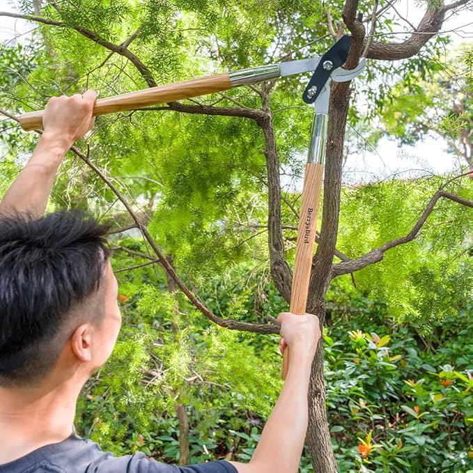 Berry&Bird Loppers and Pruners Heavy Duty, 28 Inch Bypass Loppers with Compound Action, Long Handle Tree Trimmer, Branch Cutter with ⌀ 1-3/4 Inch Cutting Capacity, Hand Loppers with Carbon Steel Blade