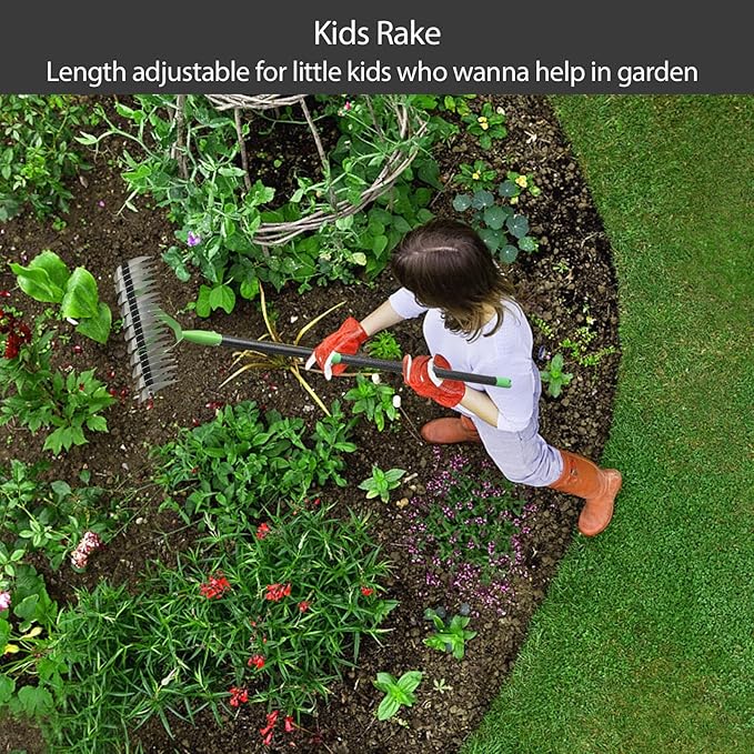 Thatch Rake for Lawns, Dead Grass Dethatcher Rake Removal Tool Heavy Duty Long Handle 54 inch, 13 inch Wide 11 Tines Manual Lawn Thatcher for Loosening Soil in Yard Garden