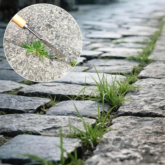 Long Handle Crack Weeder Crevice Weeding Tool-Weed Crack Remover Tool,Tool for Weeding Between pavers, Paving Sidewalk Driveway Crack Weeder, Weed Puller ,Patio Weed Remover Tool