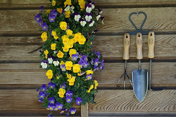 Dewit 3-Tool Bundle with Holder, 3-Piece Lightweight Gardening Set with Hand Trowel, Right Hand Cape Cod Weeder, and Cultivator