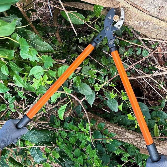 Anvil Lopper 29 Inch with Geared Sync Drive, Pruners for Gardening and Tree Trimmer, Branch Cutter Heavy Duty for 2 Inch Cutting Capacity, Chops with Ease