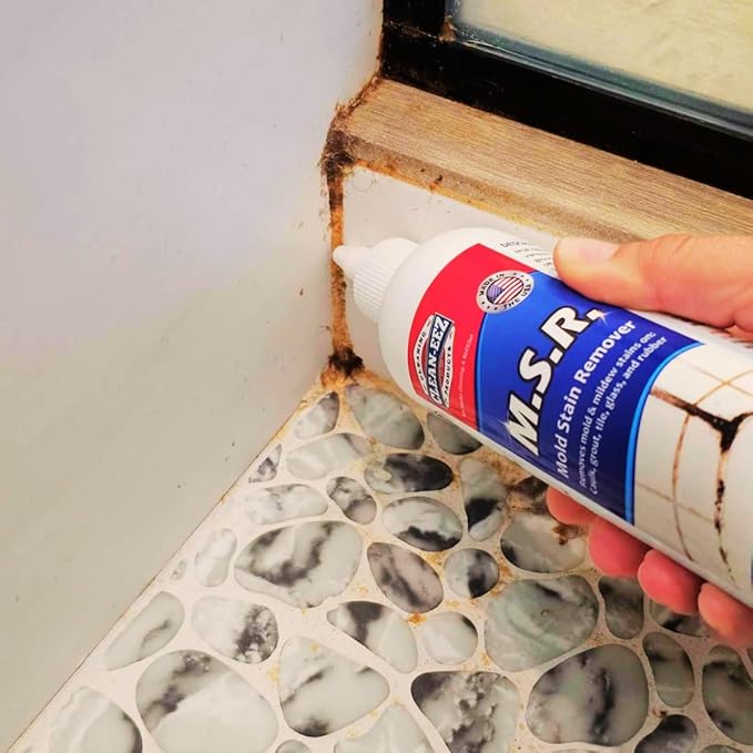 Removing Mold Safely at Home: Effective and Practical Tips