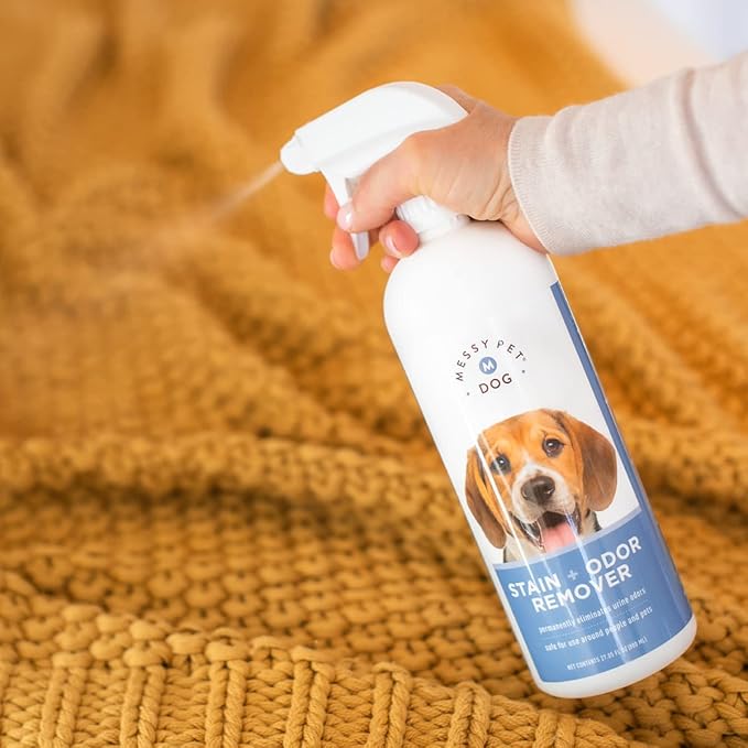 How to Clean Pet Accidents the Right Way