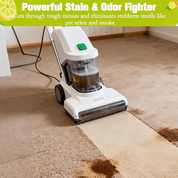 How to Deep Clean Carpets and Upholstery Like a Pro