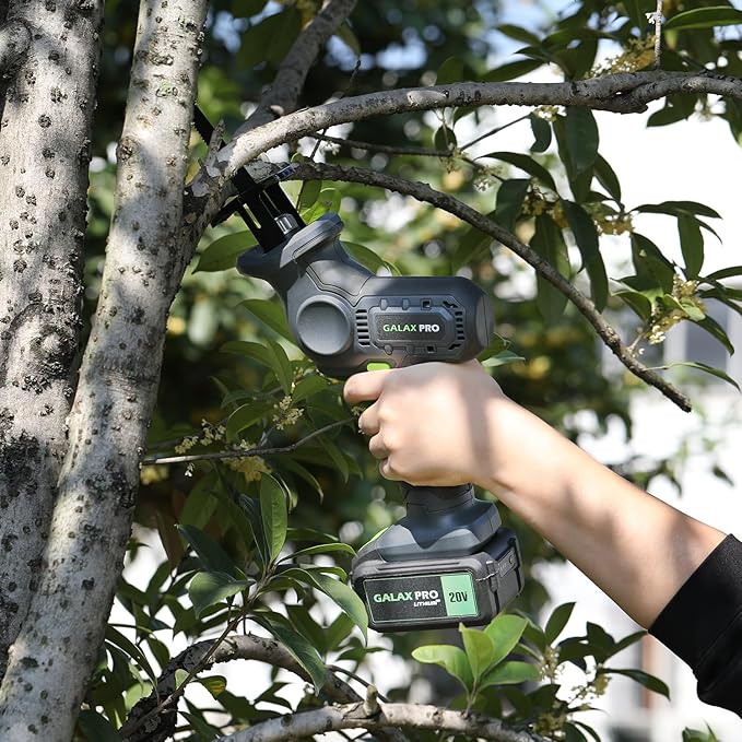 Selecting the Right Pruner for Small Trees: A Practical Buying Guide