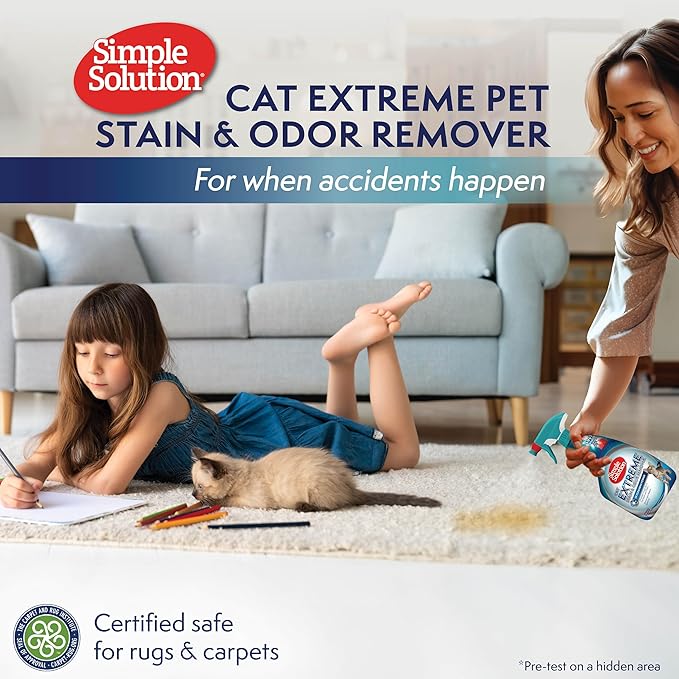 How to Clean Pet Accidents the Right Way: A Complete Home Guide