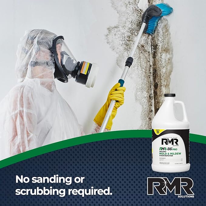 Mold vs Mildew: What’s the Difference and How to Handle Both