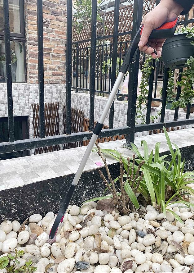 Safe Woodcutting Practices for Home Gardens