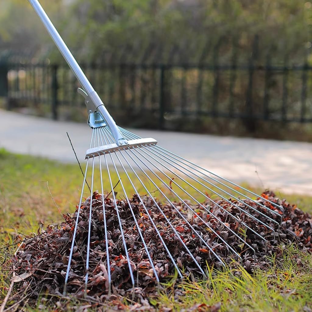How to Edge Your Lawn Like a Pro