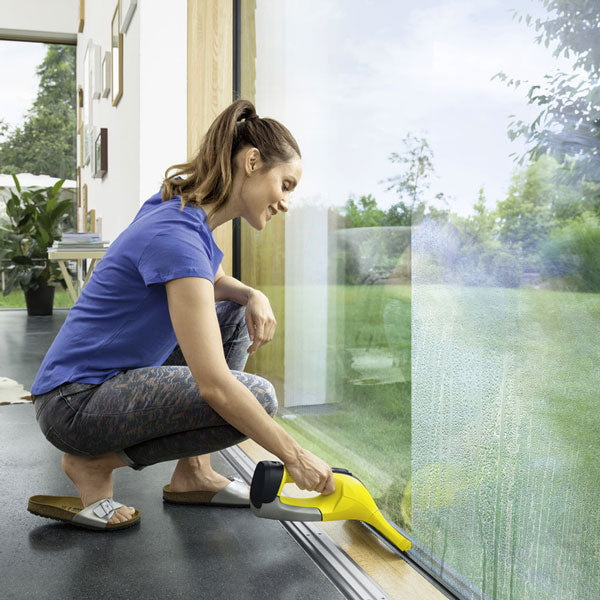 Window Vacuums