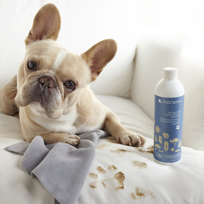 Pet Stain & Odor Removers