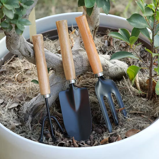 Bonsai & Precision Tools