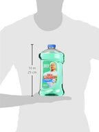Mr. Clean 40 Ounce