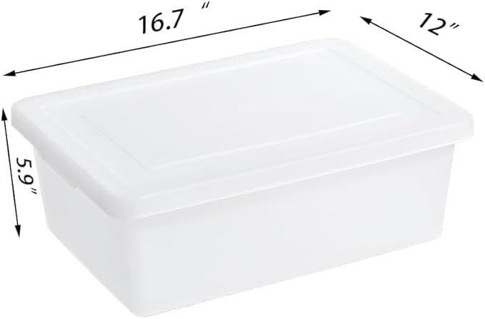 15 QuartStackable Plastic Storage Bins with Lids,Container to Organize Shoes and Crafts on Closet Shelves,Garage, Totes, Tubs Boxes Organizing 4 Pack (N-2L)