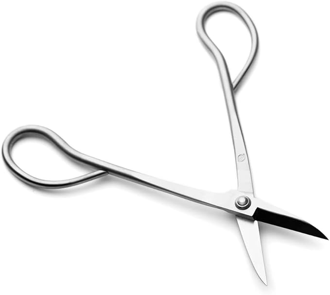 TianBonsai Bonsai Scissors Bonsai Tools (T 180 scissors)