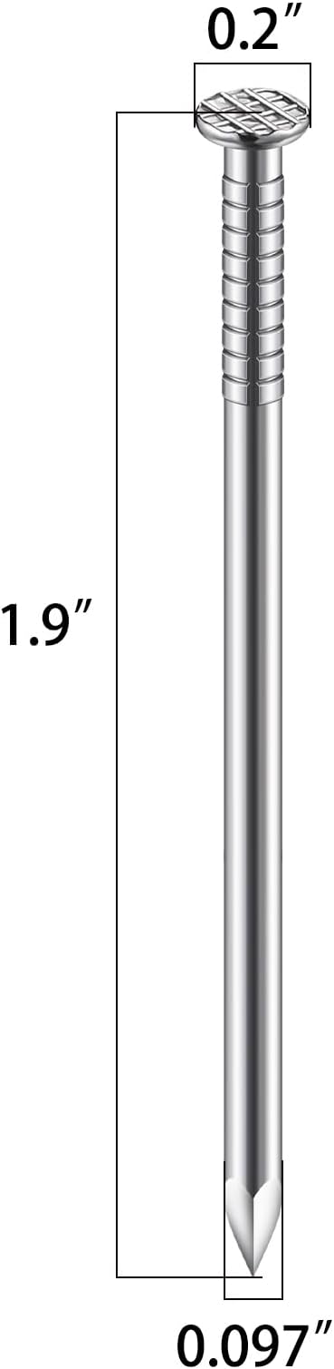 (100 pcs)2 inch Stainless Steel 304 Nails, Hanging Nails, Wall Nails, Dowels, Long Nails