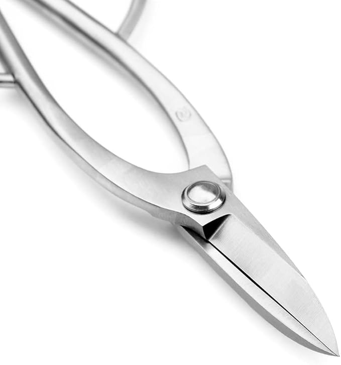 TianBonsai Bonsai Scissors Bonsai Tools (T 200 pruning scissors)