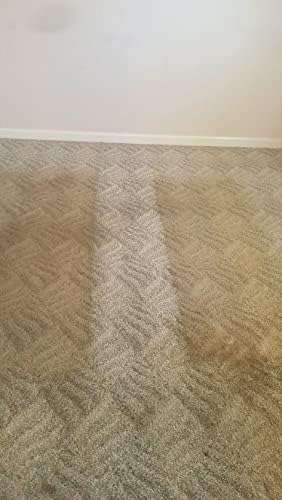 Carpet Fiber Rinse 5600 - Water-Based Cleaning Solution - Prevents Browning, Yellowing & Bleeding - Residential & Commercial - Case