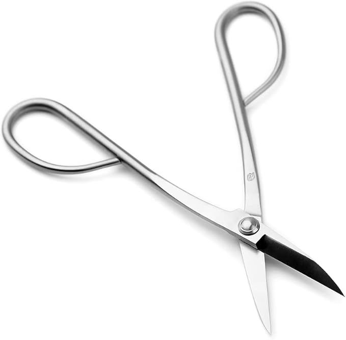 TianBonsai Bonsai Scissors Bonsai Tools (standard 210 long handle scissors)