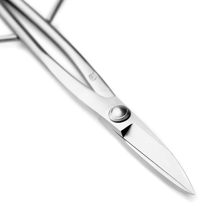 TianBonsai Bonsai Scissors Bonsai Tools (standard 210 long handle scissors)