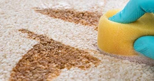 Capture Carpet Total Care Kit 400 Spot and Stain Remover (32 oz), Couch, Sofa Cleaner and Stain Remover - Bundle