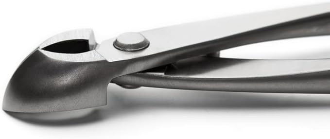 tianbonsai Bonsai Tools 205 Mm Round Edge Cutter Multifunctional Bonsai Cutter With Both Straight Edge And Round Edge