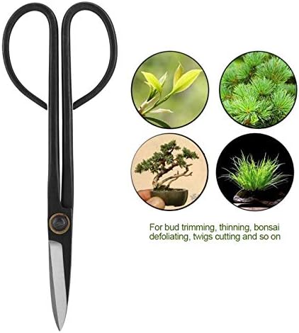 GARDENERA 16-Piece Professional Bonsai Tools Set for Precise Trimming and Shaping Trees for Professional and Amateur Gardeners