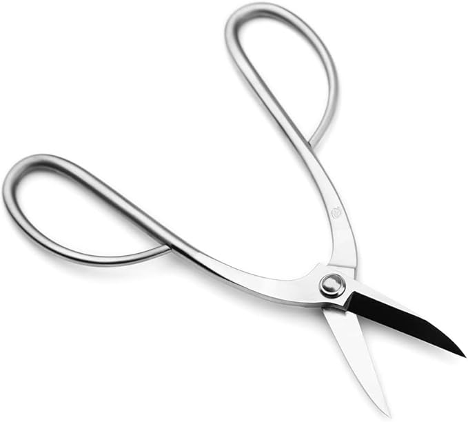 TianBonsai Bonsai Scissors Bonsai Tools (T 200 pruning scissors)