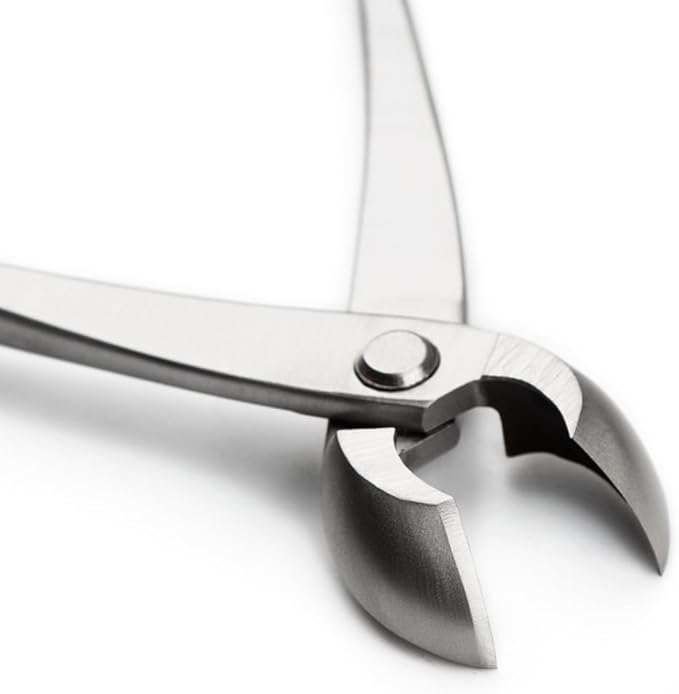 tianbonsai Bonsai Tools 205 Mm Round Edge Cutter Multifunctional Bonsai Cutter With Both Straight Edge And Round Edge